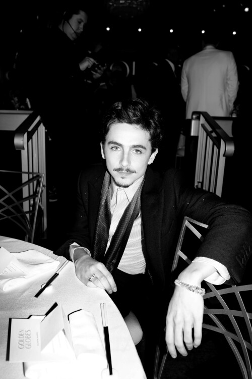 Timothee-Chalamet-82nd-Annual-Golden-Globes---Golden-Globe-Awards---held-at-The-Beverly-Hilton-i-1541cdcefafcb3561.jpeg