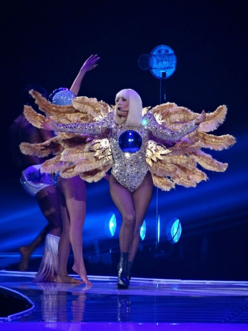 LadyGaga_Vegas_July192014_137c2920cbf7eb71969.jpeg