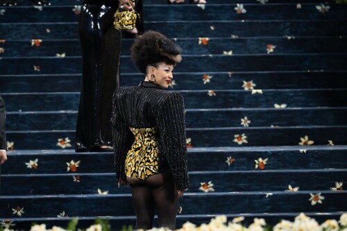 DojaCat_2025MetGala_113a5de65a4b713d5eb.jpeg