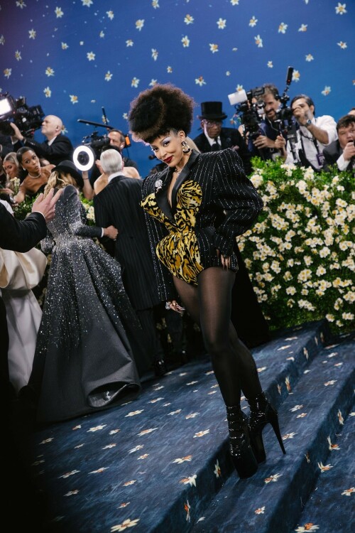 DojaCat_2025MetGala_23a193c76199453915.jpeg