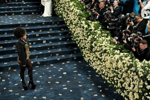 DojaCat_2025MetGala_393ade0965c98b580c.jpeg