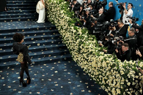 DojaCat_2025MetGala_423285b84d429194fd.jpeg