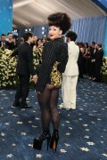 DojaCat_2025MetGala_59b96e13d45a39311d