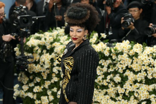 DojaCat_2025MetGala_63dc6a1ca899b9ec72.jpeg