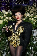 DojaCat_2025MetGala_78a56aab81206c9dde