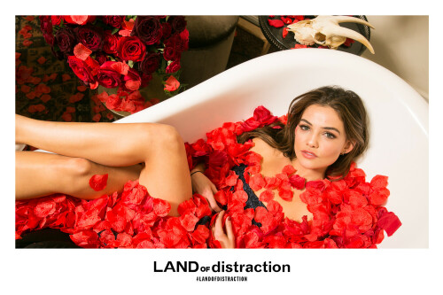 DanielleCampbell_LAND_Set3-11a1153588389c3c59.jpeg
