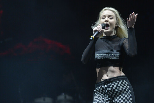 ZaraLarsson_Lollapalooza2018_SaoPaulo_March222018_14_995732d49d9187fc.jpeg