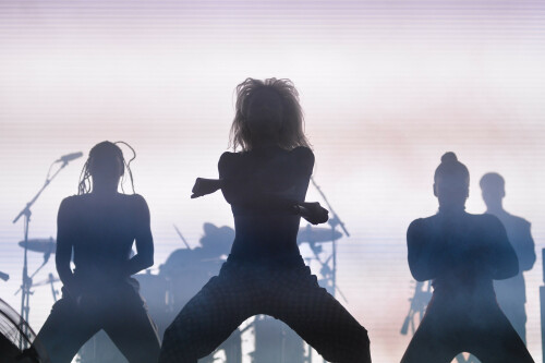 ZaraLarsson_Lollapalooza2018_SaoPaulo_March222018_27_5d03fd525c716300.jpeg