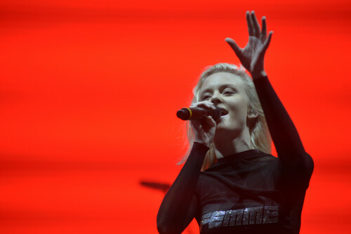 ZaraLarsson_Lollapalooza2018_SaoPaulo_March222018_9_6982080b18923546.jpeg
