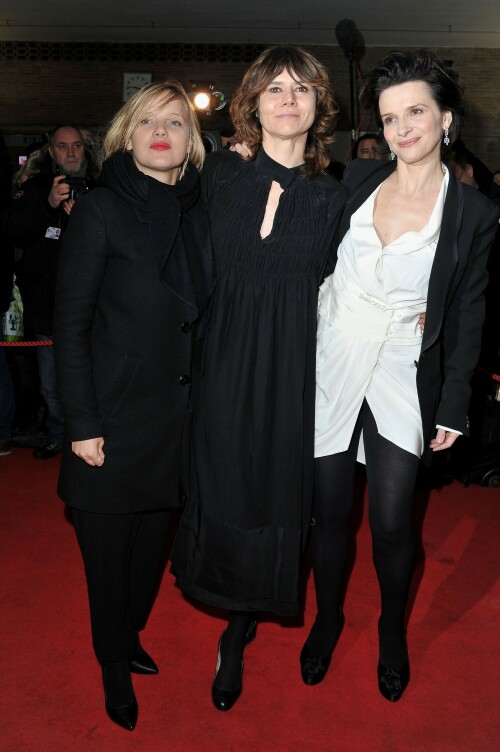 Juliette-Binoche---Elles-Premiere-62nd-Berlinale-International-Film-Festival-Feb-10-2012-5d1d6744458b9e458.jpeg