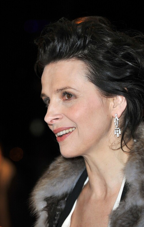 Juliette-Binoche---Elles-Premiere-62nd-Berlinale-International-Film-Festival-Feb-10-2012-8a6ae888ca8c0adca.jpeg