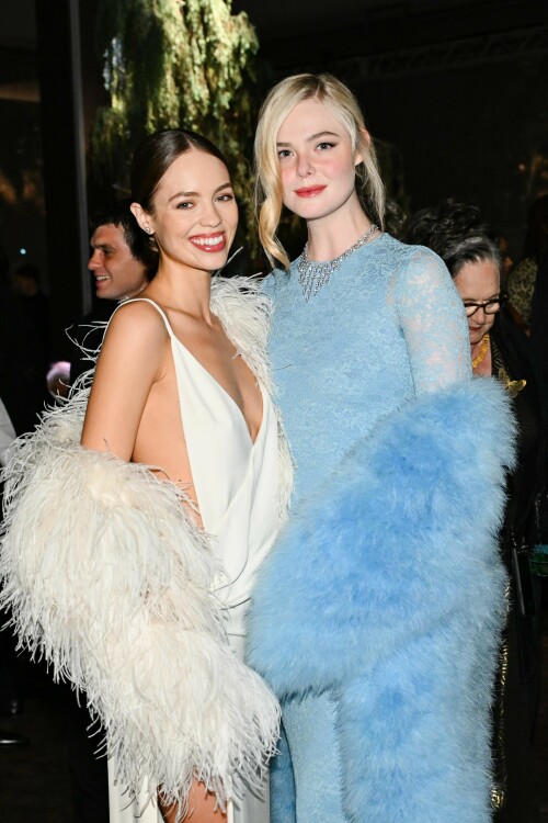 ElleFanning_LACMAArtFilmGala_November12025_105_ccb5cf9915cb4d7c.jpeg