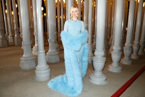 ElleFanning_LACMAArtFilmGala_November12025_112_8c40776d0a8b0f9c.jpeg