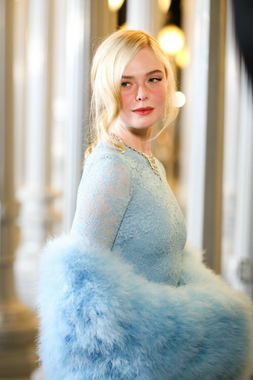 ElleFanning_LACMAArtFilmGala_November12025_118_06160d4bb400bba4.jpeg