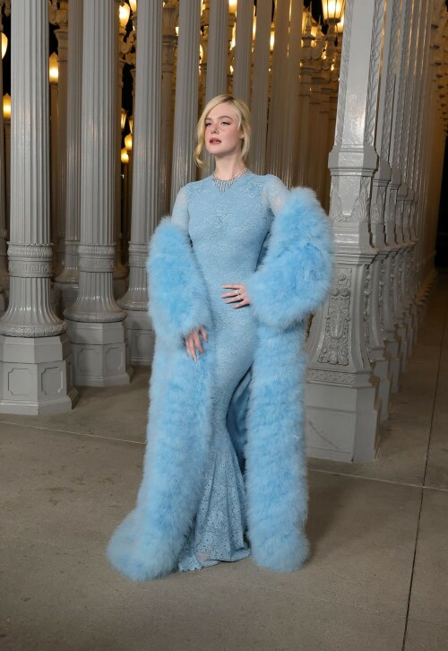 ElleFanning_LACMAArtFilmGala_November12025_11_cd5dc8285036b828.jpeg