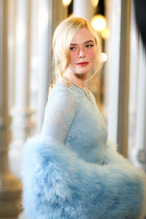ElleFanning_LACMAArtFilmGala_November12025_122_d180e4e6e1246522.jpeg