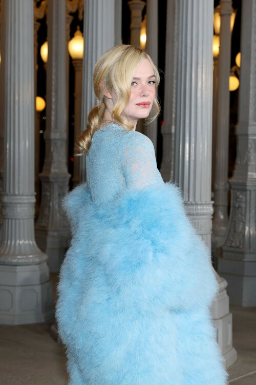 ElleFanning_LACMAArtFilmGala_November12025_17_06f22b6c13306477.jpeg