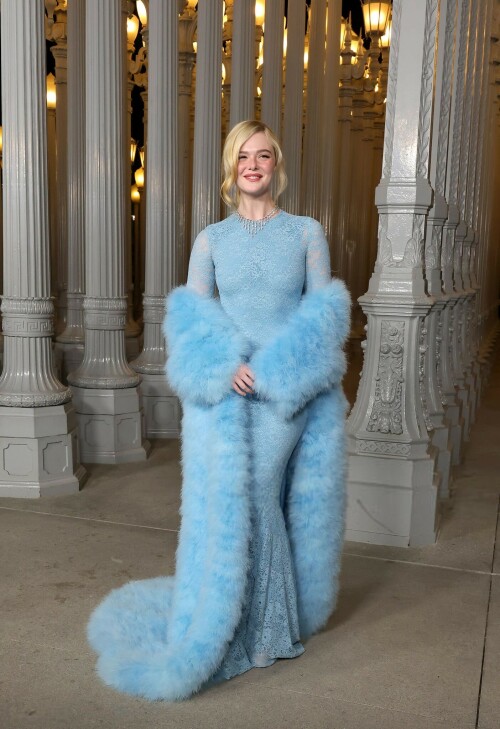 ElleFanning_LACMAArtFilmGala_November12025_20_65b1075d7b12134e.jpeg