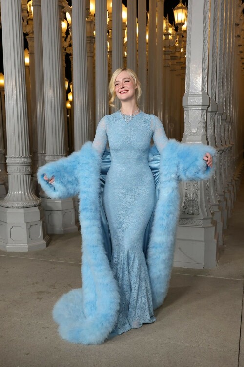 ElleFanning_LACMAArtFilmGala_November12025_21_1ee8d36ccf9723a4.jpeg