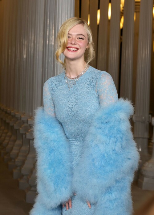 ElleFanning_LACMAArtFilmGala_November12025_31_cb8e209a68beff92.jpeg