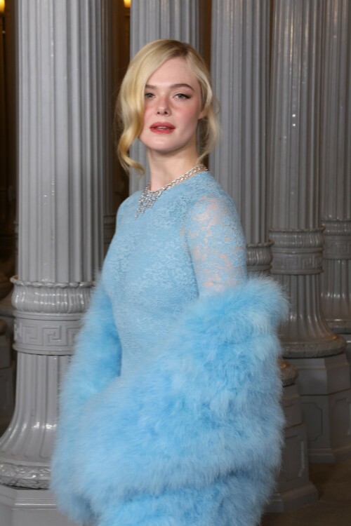 ElleFanning_LACMAArtFilmGala_November12025_39_4f040c141101f908.jpeg