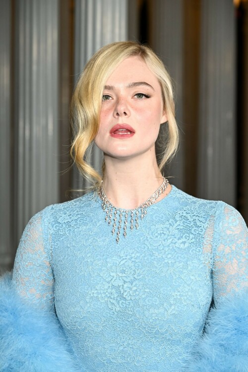 ElleFanning_LACMAArtFilmGala_November12025_5_c3de44e67466c2a5.jpeg
