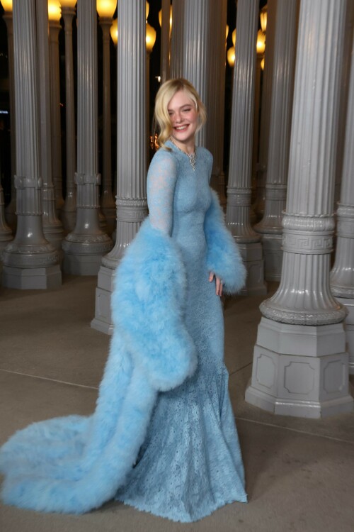 ElleFanning_LACMAArtFilmGala_November12025_68_5702f4cc042b6b68.jpeg