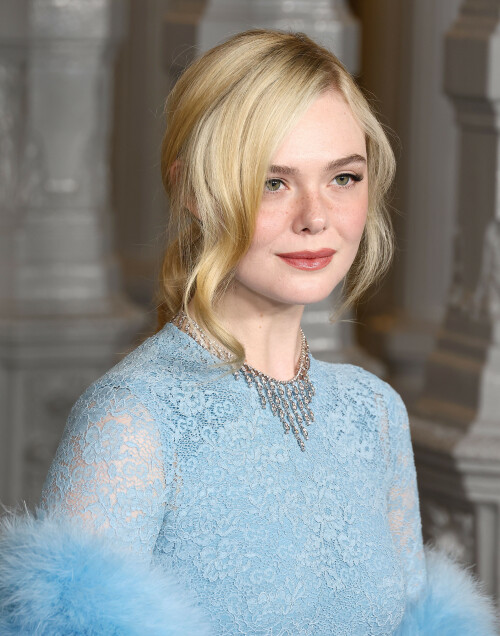 ElleFanning_LACMAArtFilmGala_November12025_79_5e6dab25cb42b4e8.jpeg