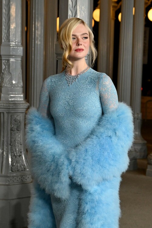 ElleFanning_LACMAArtFilmGala_November12025_92_463e68dae3a926c5.jpeg
