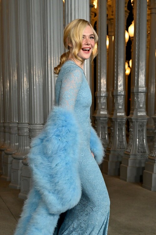 ElleFanning_LACMAArtFilmGala_November12025_93_8807c265815ef5fa.jpeg
