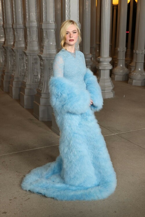 ElleFanning_LACMAArtFilmGala_November12025_94_c5e8bcd65d1d11b7.jpeg