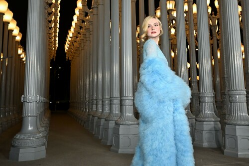 ElleFanning_LACMAArtFilmGala_November12025_95_68c72ffd4ef5e22f.jpeg
