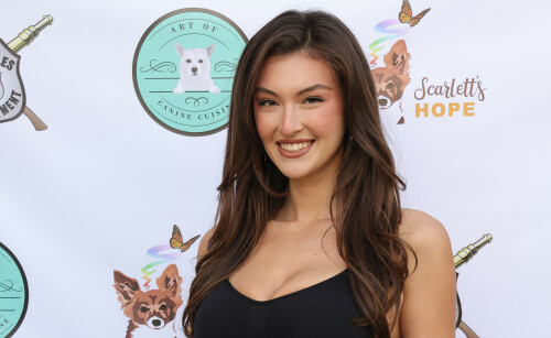 Kosty555-00123469a419d3c3b660